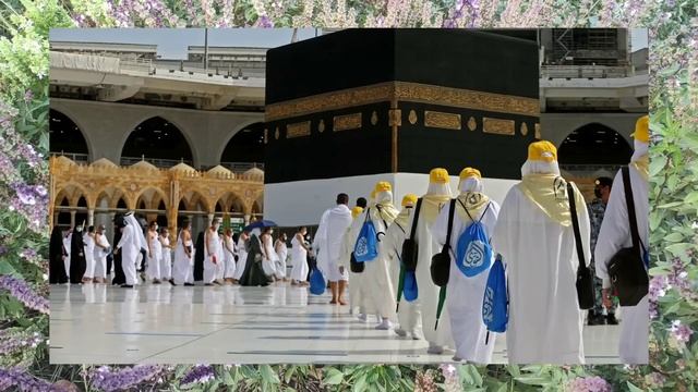 Умрага бормоқчи бўлганлар 1-Ноябрдан бошлаб... смотреть онлайн