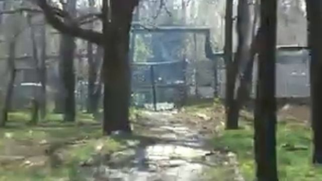 Работы в городском парке смотреть онлайн