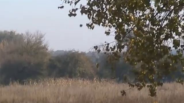 Разговор с дождём - Виталий Тугай смотреть онлайн