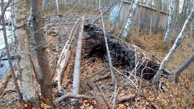 Интересное место. Раньше тут была лесопилка. Целый берег, отсыпали из опилок и досок! смотреть онлайн