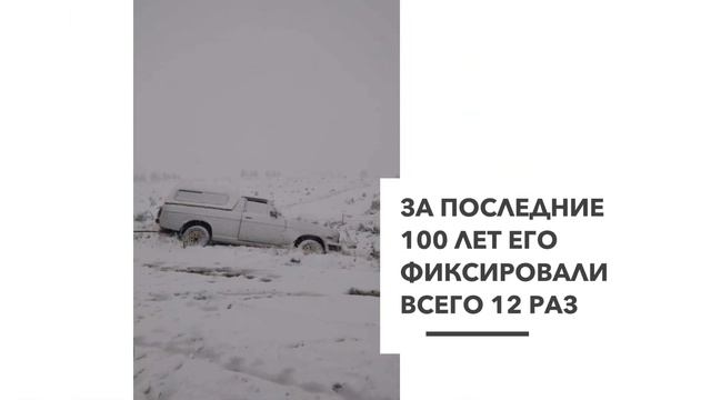 В Южной Африке впервые за 10 лет выпал снег смотреть онлайн