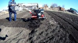 Мотоблок "БРАЙТ".Пробуем в огороде.Работаем с удовольствием!!!!!!!