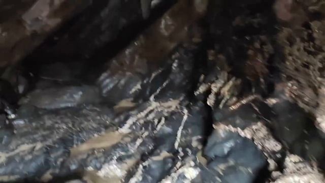 Explore Newquay | Travel Vlog | On the Road with Ibreez & Ibrahim смотреть онлайн