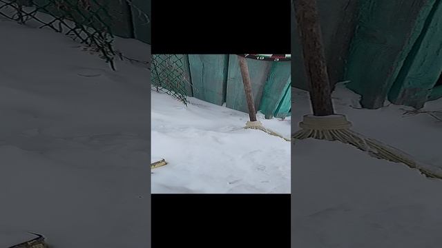 ПРИКОЛ НА 23 ФЕВРАЛЯ 20240223 смотреть онлайн