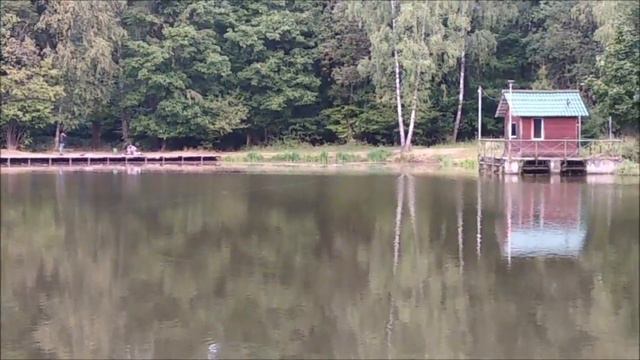 Утренний обзор с нижнего пруда. Клёвое место Лосиный остров. смотреть онлайн