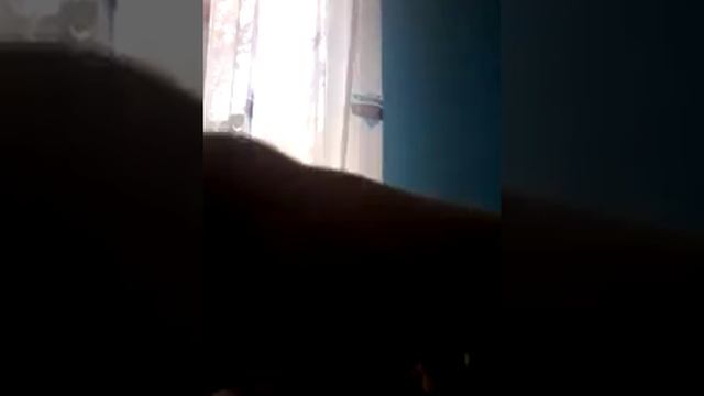 Интересные хомяки из пластилина смотреть онлайн