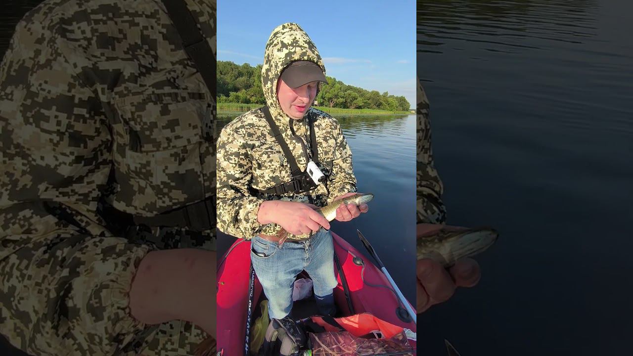 Отпускаем щуку подрастать. #shortvideo #fishing #рыбалка #fishingvideo смотреть онлайн