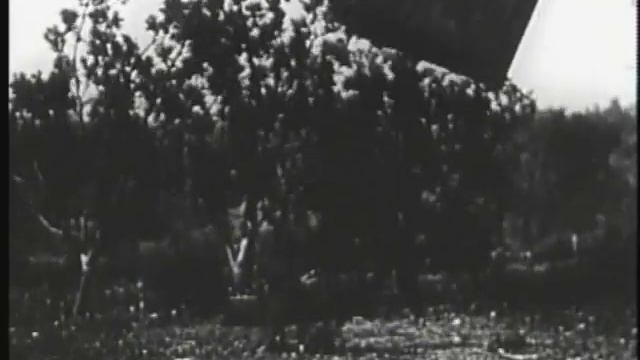 Wizard of Oz (1925) смотреть онлайн