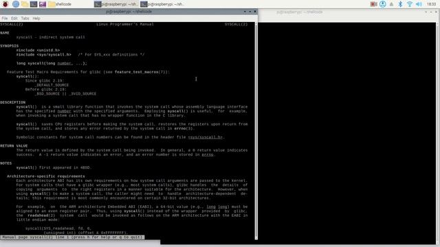 Shellcode for FreeBSD and Raspberry Pi OS смотреть онлайн