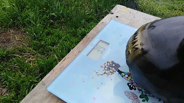 Сколько же денег я накопила за целый год ???? смотреть онлайн