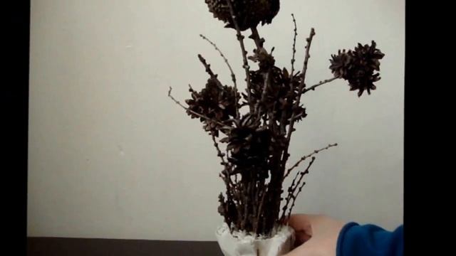 Топиарий композиция из сосновых шишек и веток лиственницы смотреть онлайн