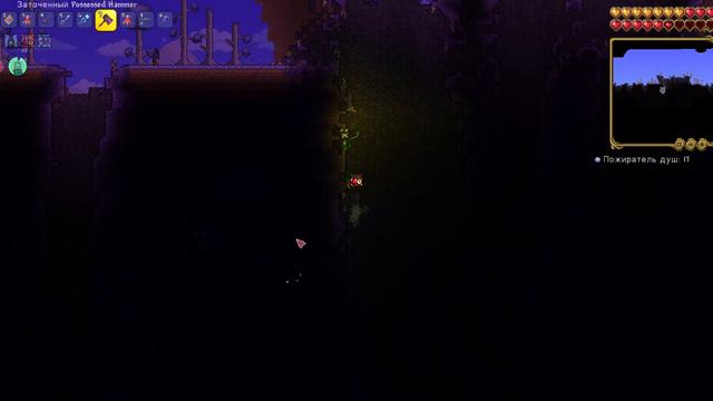 Terraria Calamity Mod Боссы.