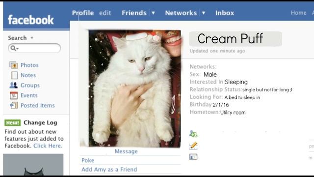 Faking My Death In Front Of My Cats - How Will They React? смотреть онлайн