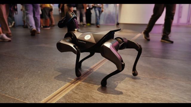 Дни финансовой грамотности в «Зарядье» смотреть онлайн