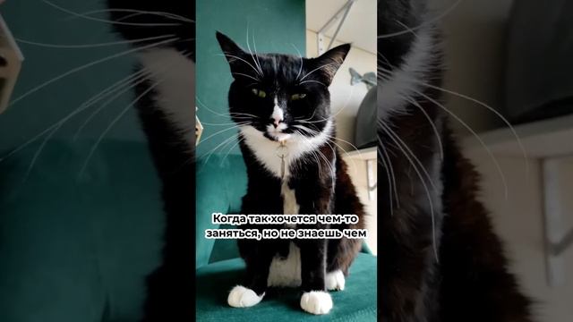 Когда так хочется чем-то заняться, но не знаешь чем смотреть онлайн