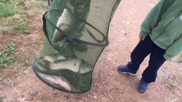 РК «Фишка» Петряиха 12.06.2019 девятый водоем, лучший платник Подмосковье смотреть онлайн