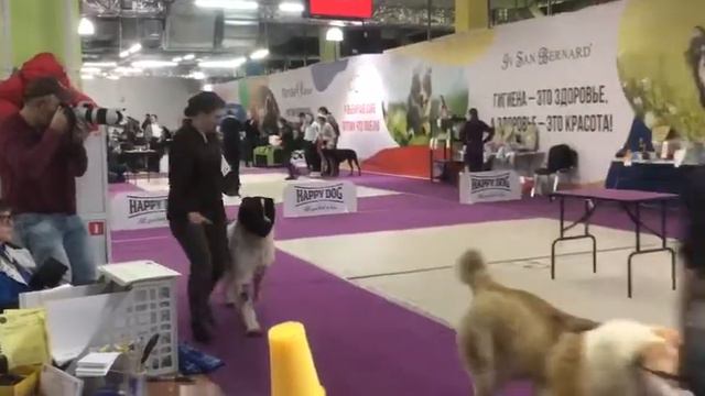 Урунча из Александровой слободы. выставка . смотреть онлайн