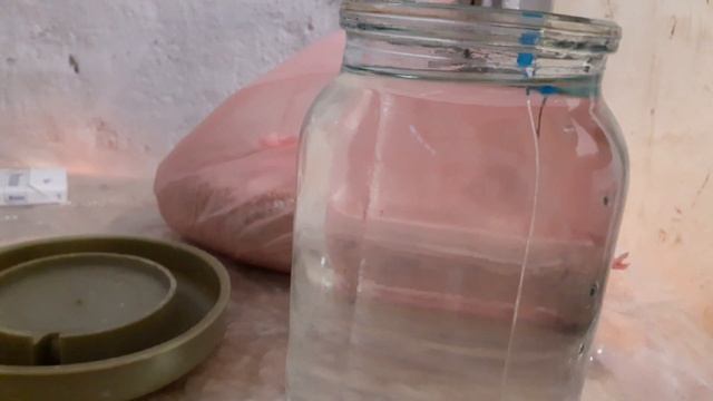 Прибавление в хозяйстве. Цыплята мастер грей и фокси чик. смотреть онлайн