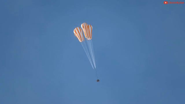 6 Animals That Went to Space & Survived смотреть онлайн