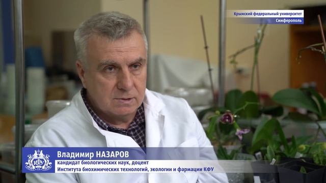 Ботанические сокровища: в КФУ вывели драгоценную китайскую орхидею смотреть онлайн