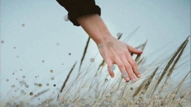 Сурмач Елена. Из июля в август.... Стихи смотреть онлайн