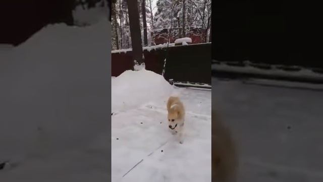 Зачем спешить, все успею смотреть онлайн