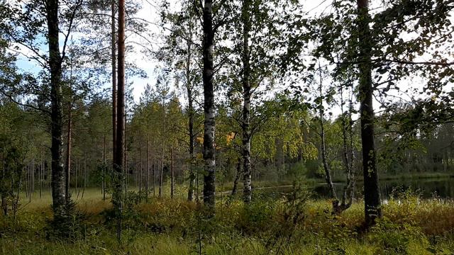 Hitauden ylistys, Anna Maija Raittila. Lukija Paula Tapionmäki смотреть онлайн