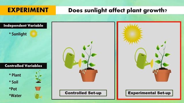 Independent, Dependent and Controlled Variables in Controlled and Experimental Set-up смотреть онлайн