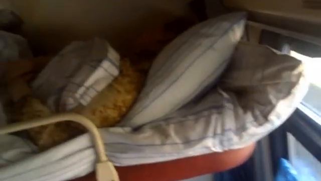 Бухая тетка в поезде - JUNK!!! Drunk woman into the russian train смотреть онлайн