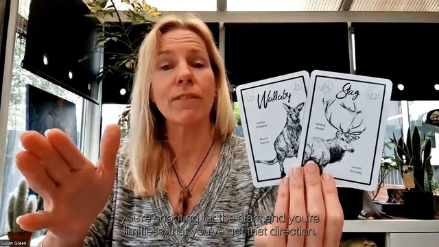 Messenger Animals Oracle card & psychic reading - the energy in that decision you need to make! смотреть онлайн