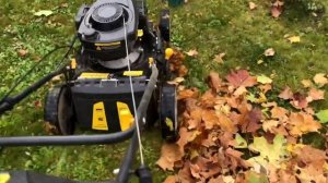 Газонокосилка Champion LM4627 спустя год эксплуатации, уборка опавшей листвы.