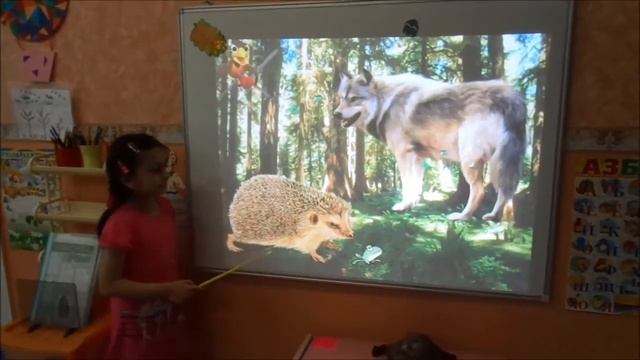 НОД "Составление описательного рассказа о диких животных" смотреть онлайн