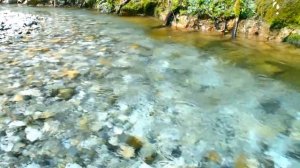 звук воды слушать  онлайн бесплатно шум ручья в лесу для сна звуки природы спа релакс восстановление