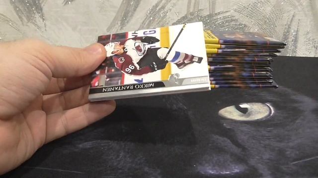 202021 Upper Deck Series 2 Hockey 24 Pack Box смотреть онлайн