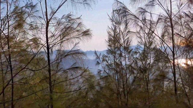 Day 6. Batur, Bali, Indonesia смотреть онлайн