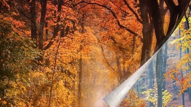 Сергей Есенин - Листья падают, листья падают смотреть онлайн