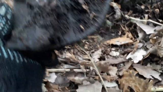 Сходил по железки в посадки. Хорошие приятные находки. смотреть онлайн