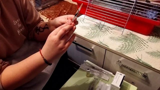 Делаю уколы крысам/ лечимся #твимз #листиккексикмишутка #крысы #моилюбимки #ratslove #животные#rats смотреть онлайн