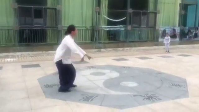 Тайцзицюань, стиль Чень / Taijiquan, Chen Style