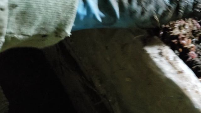 Выбираю червей для фасовки из стеллажа. смотреть онлайн