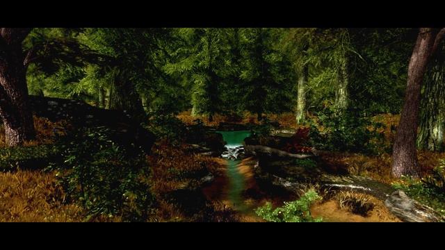Skyrim Special Edition Veydosebrom - Grasses And Groundcover + ENB SHOWCASE [HD]