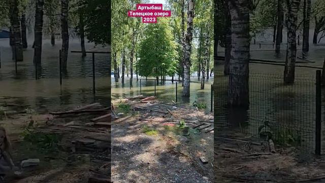 Разлив Телецкого озера Артыбаш Вода везде! смотреть онлайн