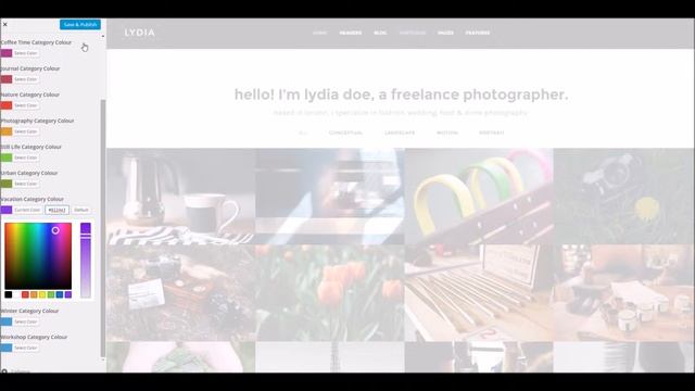 Lydia WordPress Theme - Theme Options Overview смотреть онлайн