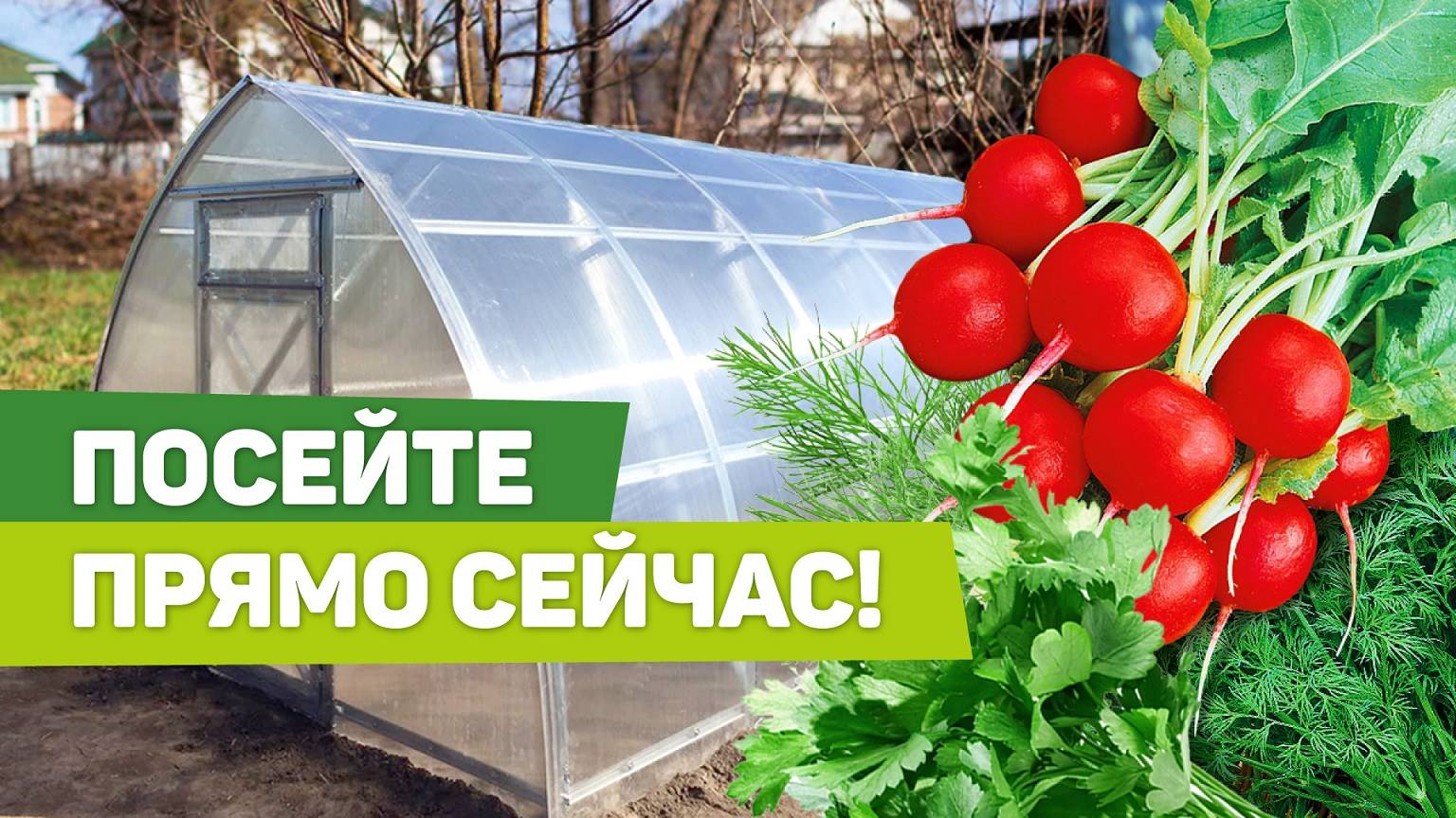 Ранние посевы в теплице. Можно сеять уже в марте.mp4 смотреть онлайн