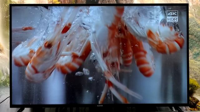 Телевизор Harper 55U750TS: экран 55” на матрице IPS, разрешение 4К и Android TV смотреть онлайн