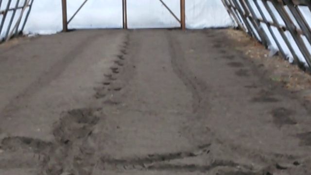 Когда можно сажать землянику смотреть онлайн