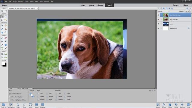 How You Can Use Photoshop Elements to Add a Photo or Image to a Layer смотреть онлайн