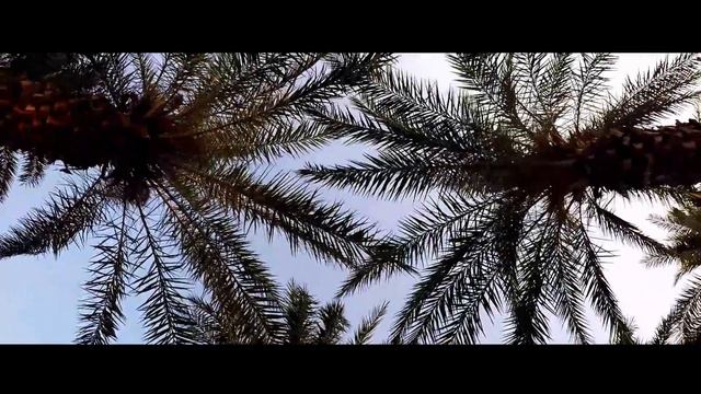 China&Xiamen. Beautiful park смотреть онлайн
