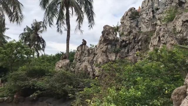 Нячанг-остров обезьян, есть пострадавшие 14 августа 2018 г.