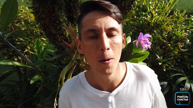 Жить на Бали, чтобы не делать этого! Потапов Лайв #4 смотреть онлайн